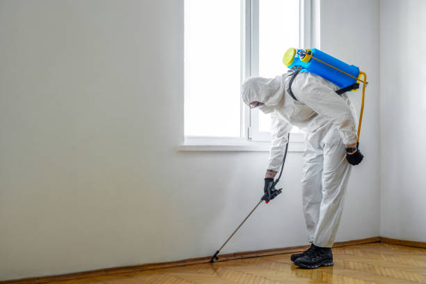 Emergency Pest Control in New Eagle, PA